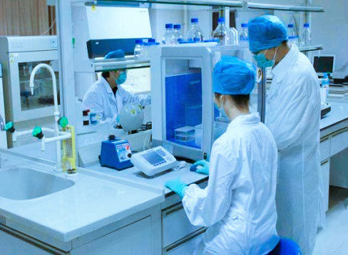 客户酵母菌实验