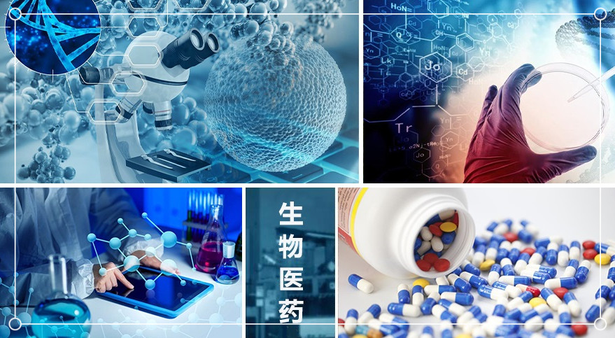 生物医药行业均质机